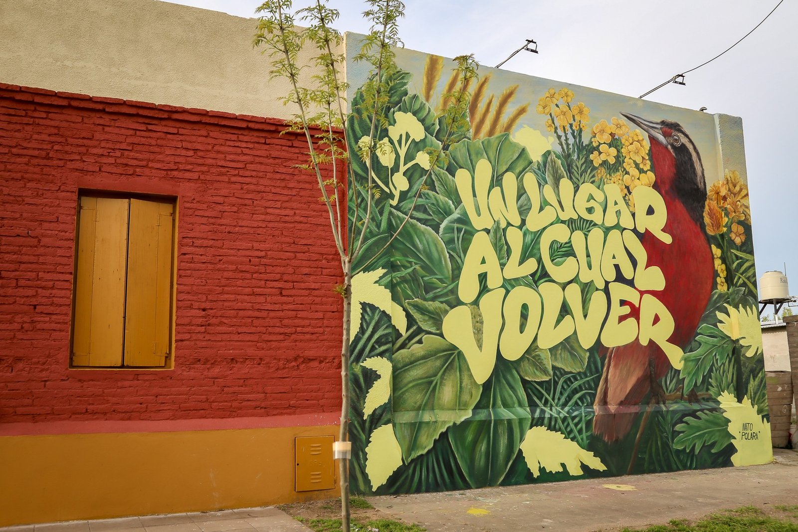 Murales ok-16